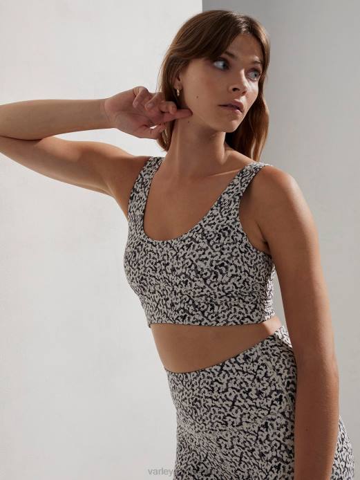 birkeblanding gepard